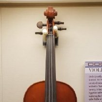 Violin in display case