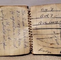 Open notebook with hand-drawn map of New York