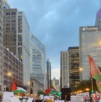 Color photo of demonstrators in Chicago in the street