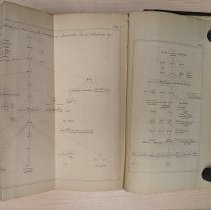 Genealogical table of the...descendants of Ismael son of Abraham...