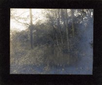 Brandywine - North Race