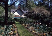 Grange Estate- Gardens (1963)