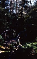 Grange Estate- Washington Walk Gardens (1962)