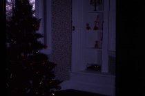 Christmas Tree 1978 2nd floor