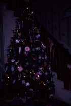 Christmas Tree Grange 1978