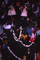 Christmas Tree Grange Library 1978