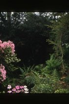 The Grange Washington Walk 1961