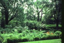 The Grange Gardens 1980
