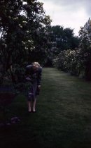 Mrs. Breyers Lilac Lane