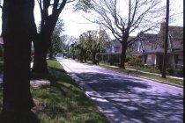 Shady Lane & Manoa Road