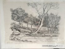 Bend in the Creek, The (1925)