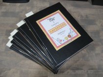 Century of Haverford High School athletics and beyond, A. (Vol.1) (2022)