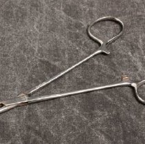 Halstead mosquito forceps, straight