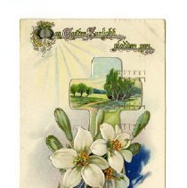 May Easter Sunlight Gladden You