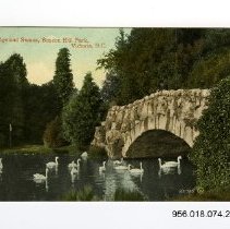 Bridge and Swans, Beacon Hill Park, Victoria, B.C.