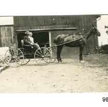 [Couple in a horse-drawn buggy]