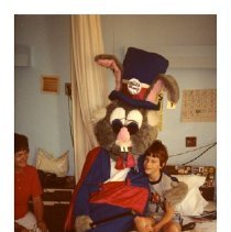 [Budd Bunny in hospital]