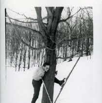 [Chicopee Ski Club member]