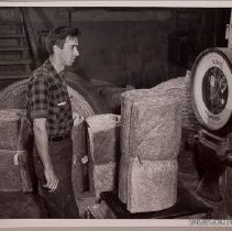 [Archie Kinsie weighing bats of insulation]