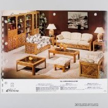 "Self Expression Collection"