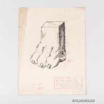 [Drawing - lion's foot]