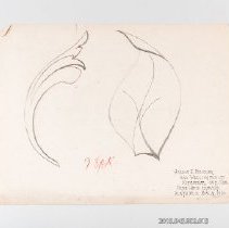 [Drawing - two leaves]