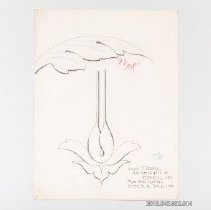 [Drawing - partial acanthus leaf and ornament]