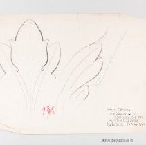 [Drawing - acanthus leaf]