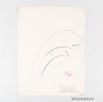 [Drawing - partial leaf]