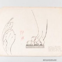 [Drawing - partial acanthus leaf and lion's foot]