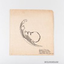 [Drawing - partial leaf]