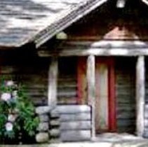 2006_balanced preservation.jpg