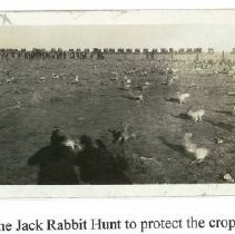 1927 Colorado Rabbit Hunt