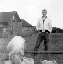 Boy with Sow and Piglets  1926(c.)