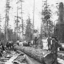 Perrigo Logging Crew