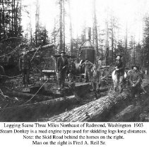 Logging Scene in Redmond,1903
