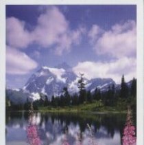 In Loving Memory of Randolph S. Johnson