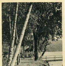 A Bit of Shore Line at Lake Waramaug