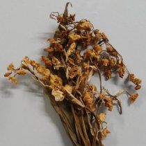 Vaillant Wedding Corsage