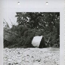 199 55 Photo of flood damages