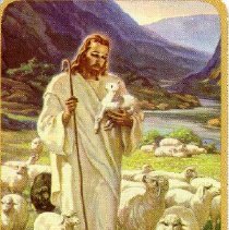 Dr. Walter McCoy Prayer Card