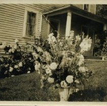 Flowers in front of House