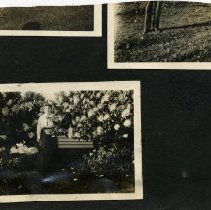 Woman, Woman and Baby, and Child