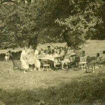 Anderson picnic