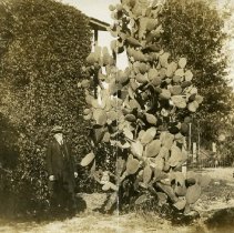 Samuel Clayton Kingman