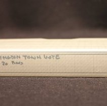 Washington Town Vote