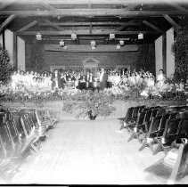 Negative, Glass-plate