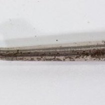 Button hook with silver handle -  Metal hook