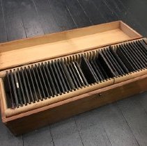 Negative, Glass Plate