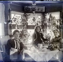 Negative, Glass Plate